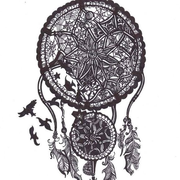 Meet your Posher, Steve - Picture 1 of 1